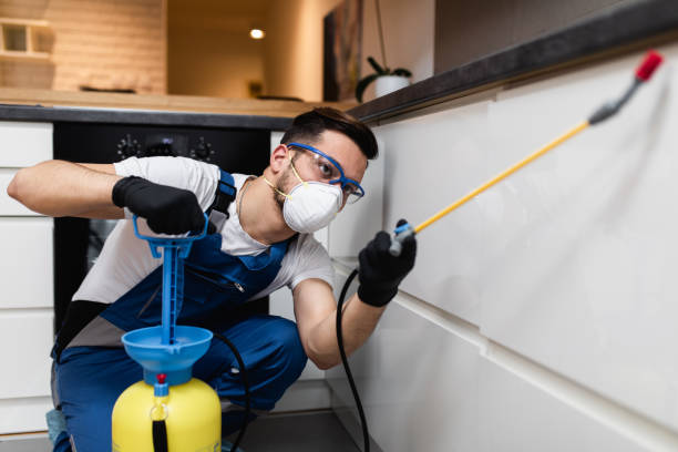 Best Residential Pest Control  in Council Bluffs, IA