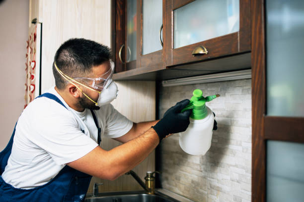 Best Mosquito Control Services  in Council Bluffs, IA