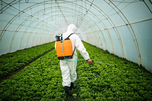 Best Best Pest Control Companies  in Council Bluffs, IA