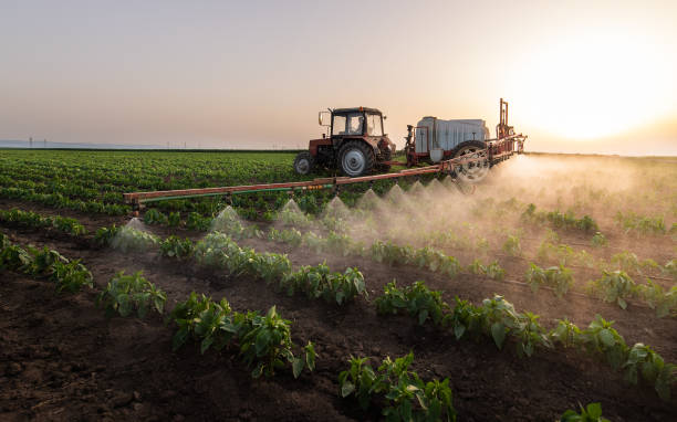  Council Bluffs, IA Pest Control Pros