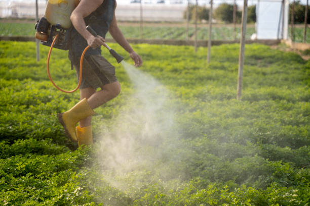 Best Pest Control Near Me  in Council Bluffs, IA