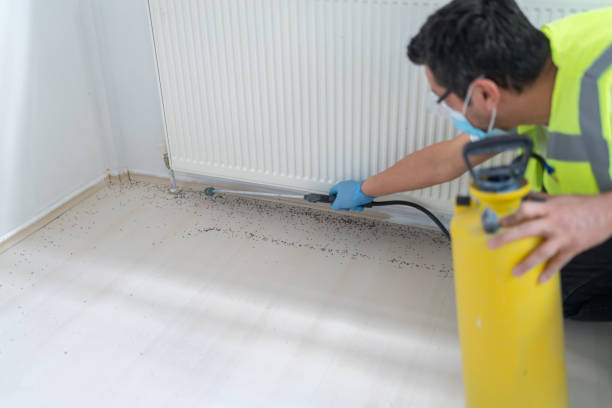 Best Wasp Removal Services  in Council Bluffs, IA
